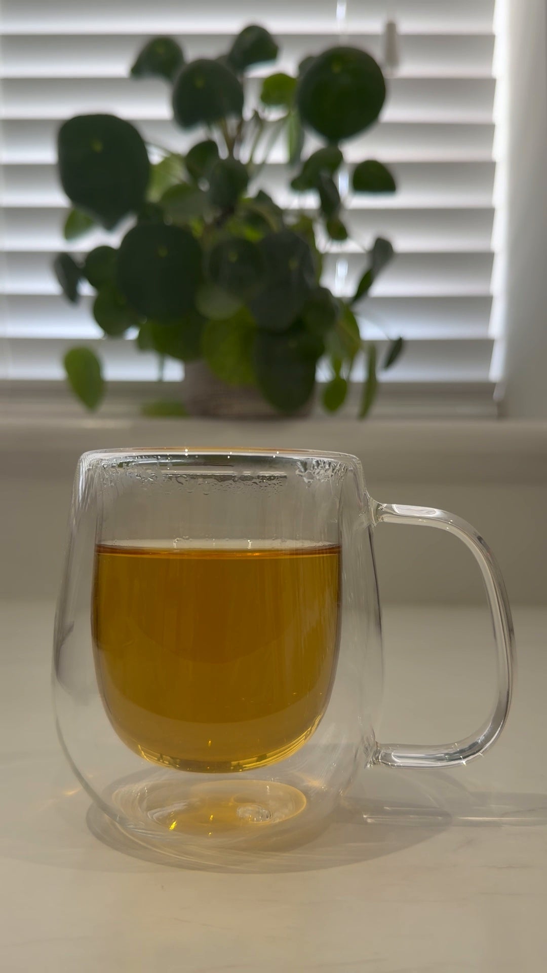 Herbal & Wellness Tea