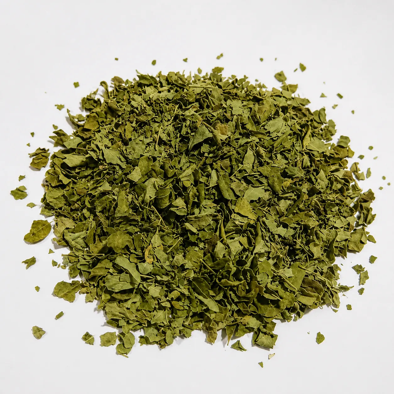 Pure moringa herbal tea bags by Ceyara made from nutrient rich moringa leaves