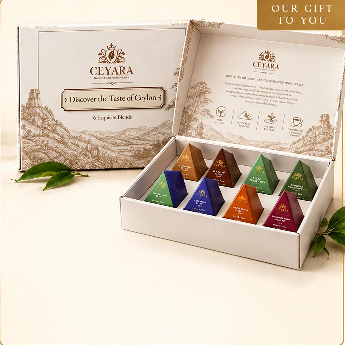 Ceyara Discovery Collection tea gift box, complimentary on orders over £90.